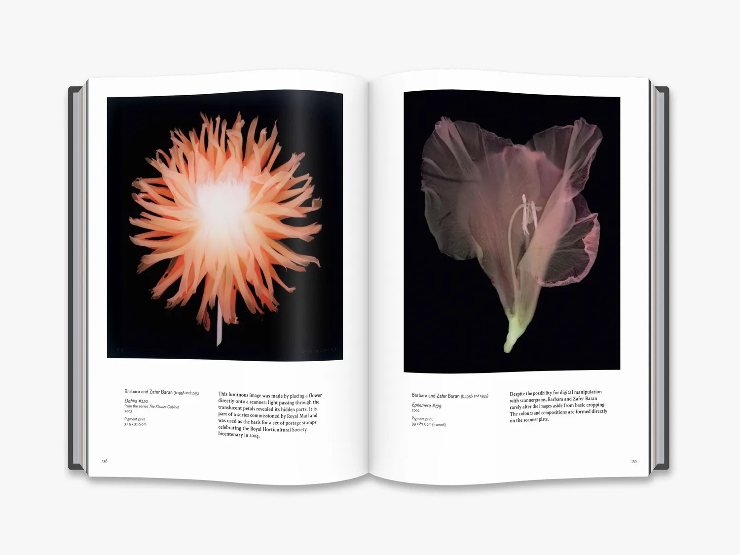 Thames & Hudson Cameraless Photography fotobog