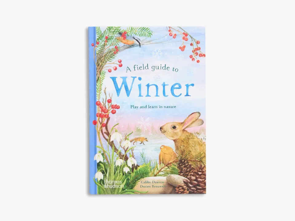 Thames & Hudson A Field Guide to Winter børnebog natur
