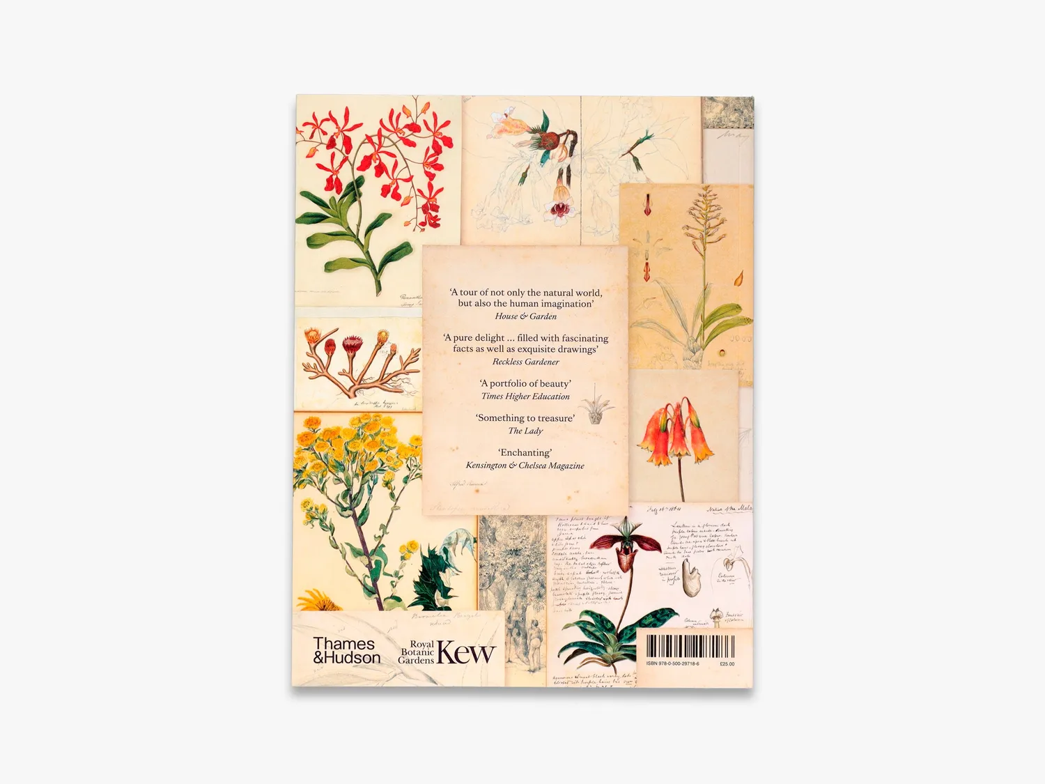Thames & Hudson Botanical Sketchbooks fagbog illustreret