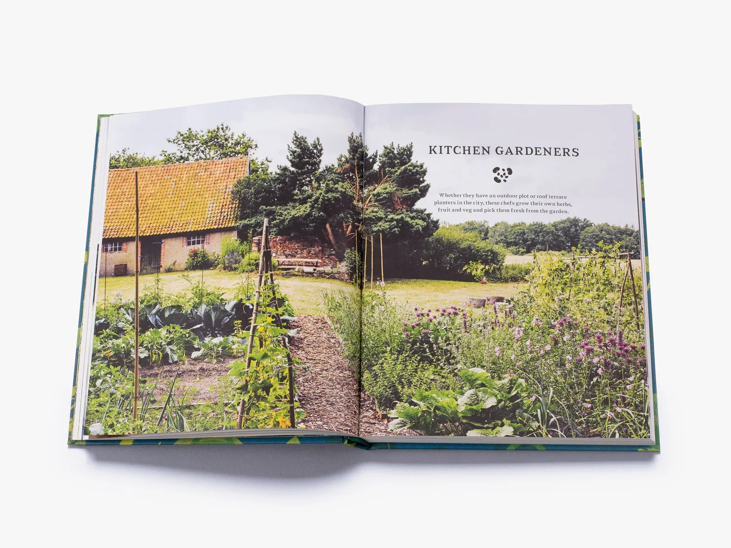 Thames & Hudson Wild Kitchen bog køkken