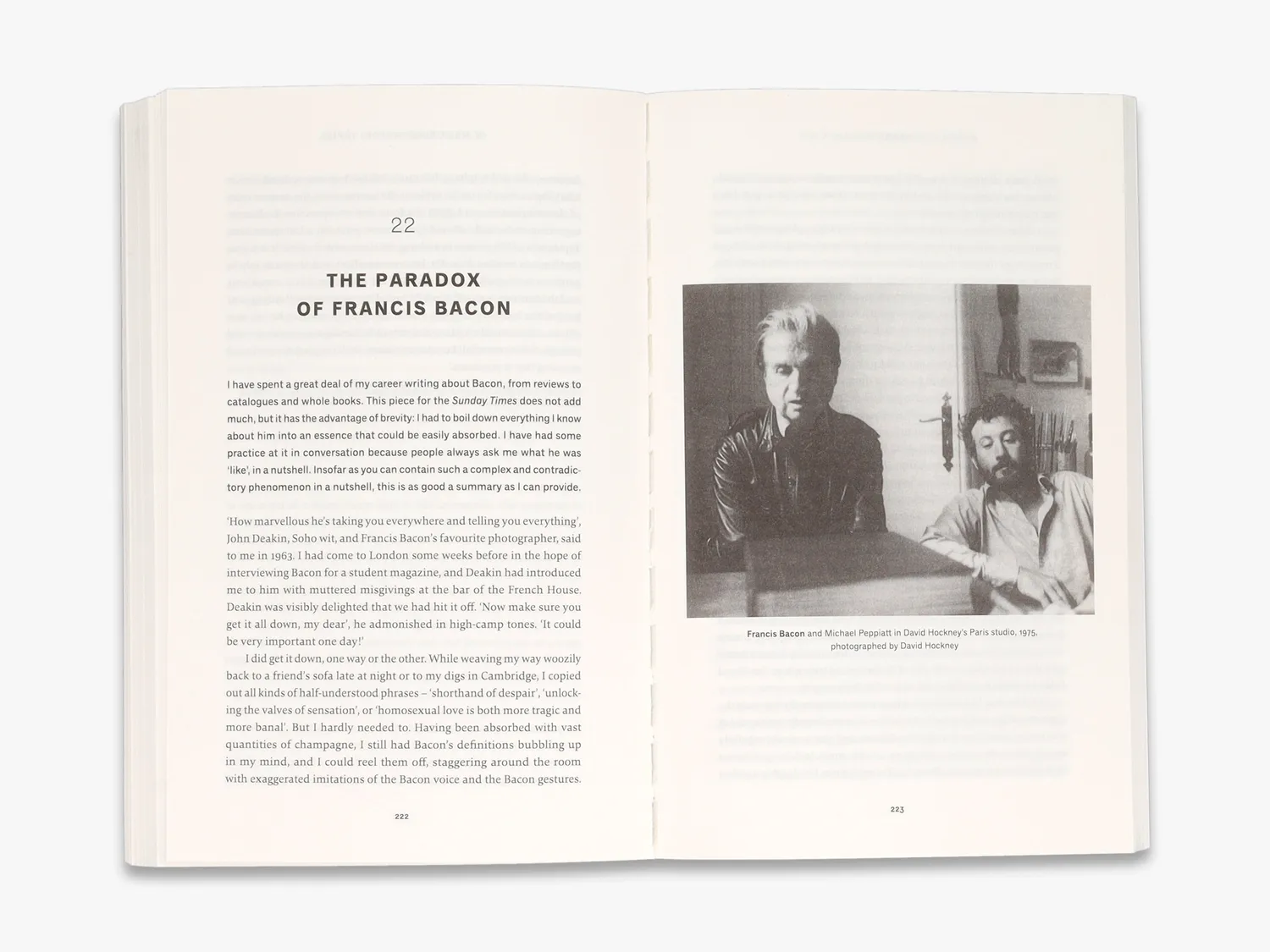 Thames & Hudson Artists' Lives bog essays