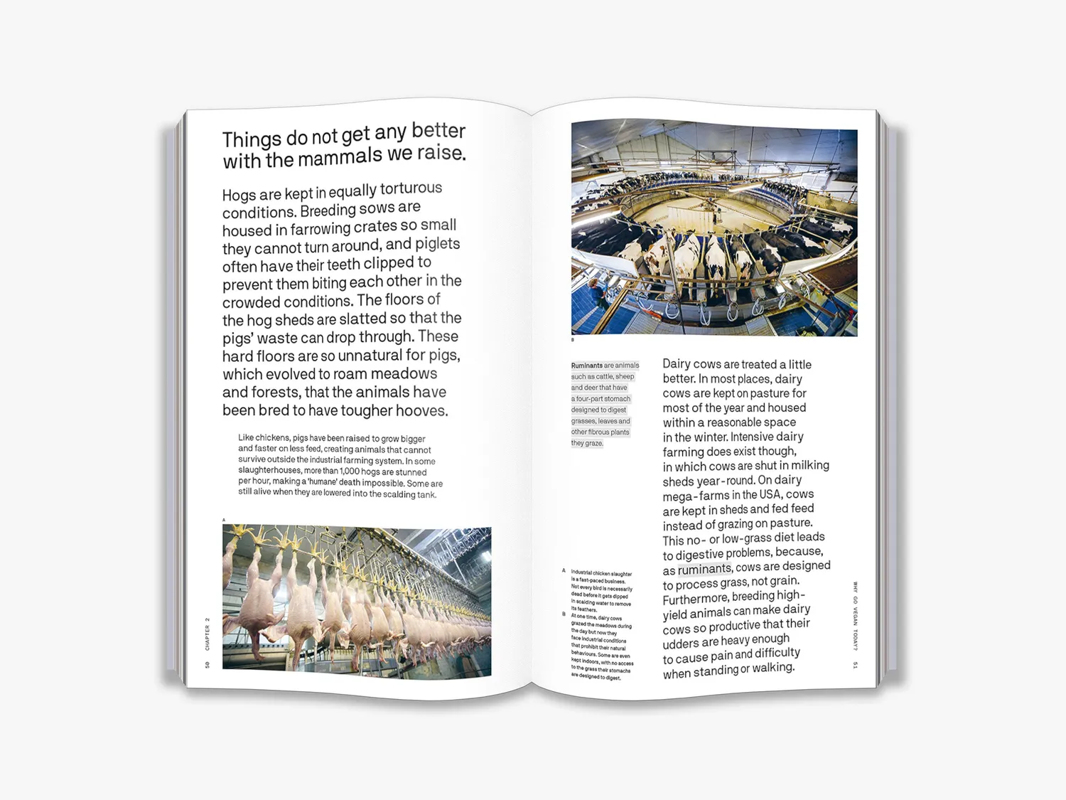 Thames & Hudson The Big Idea Should We All Be Vegan bog