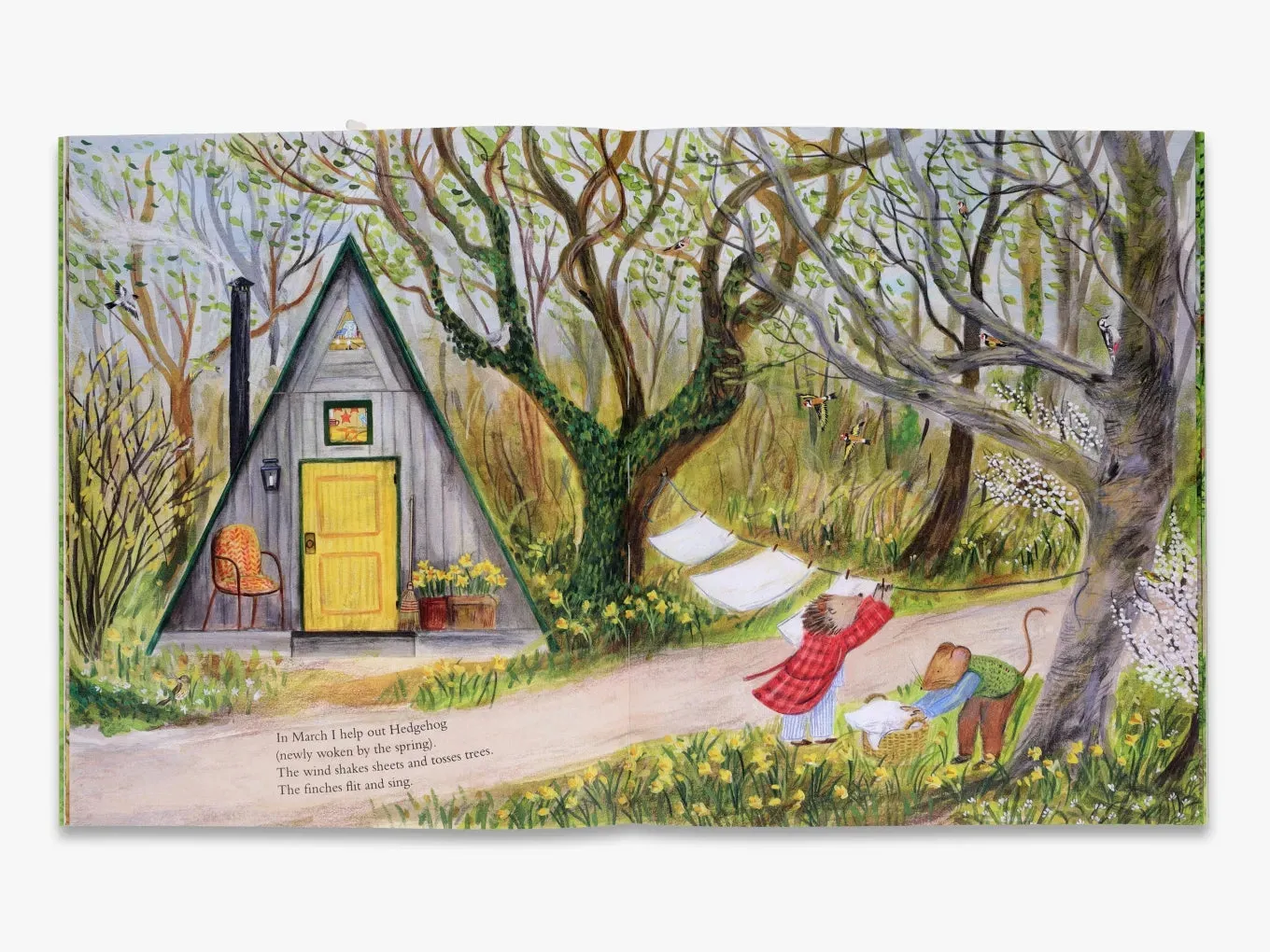 Mouse's Adventures Mouse's Wood billedbog mus