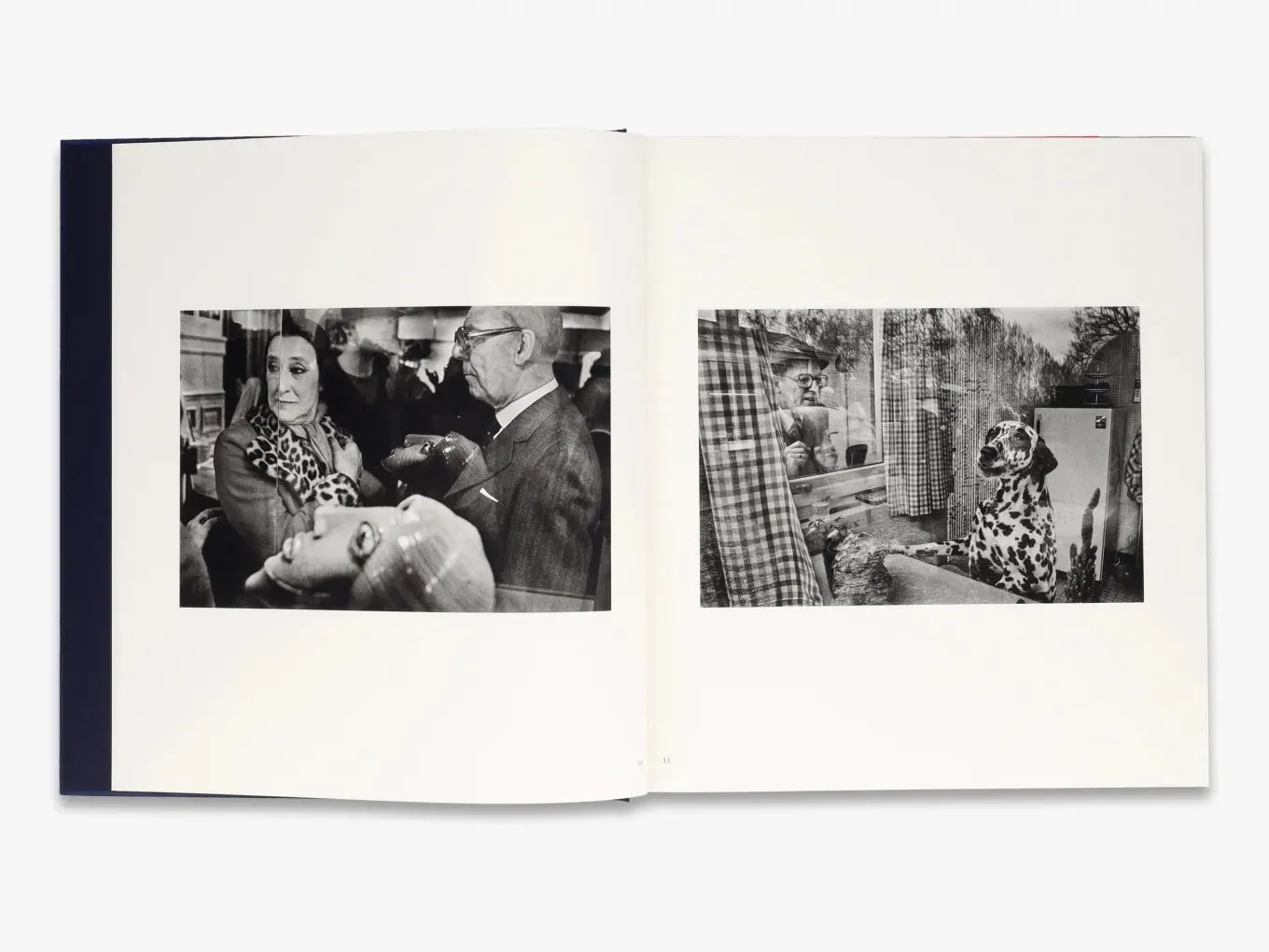 Thames & Hudson Harry Gruyaert: Homeland fotobog Belgien