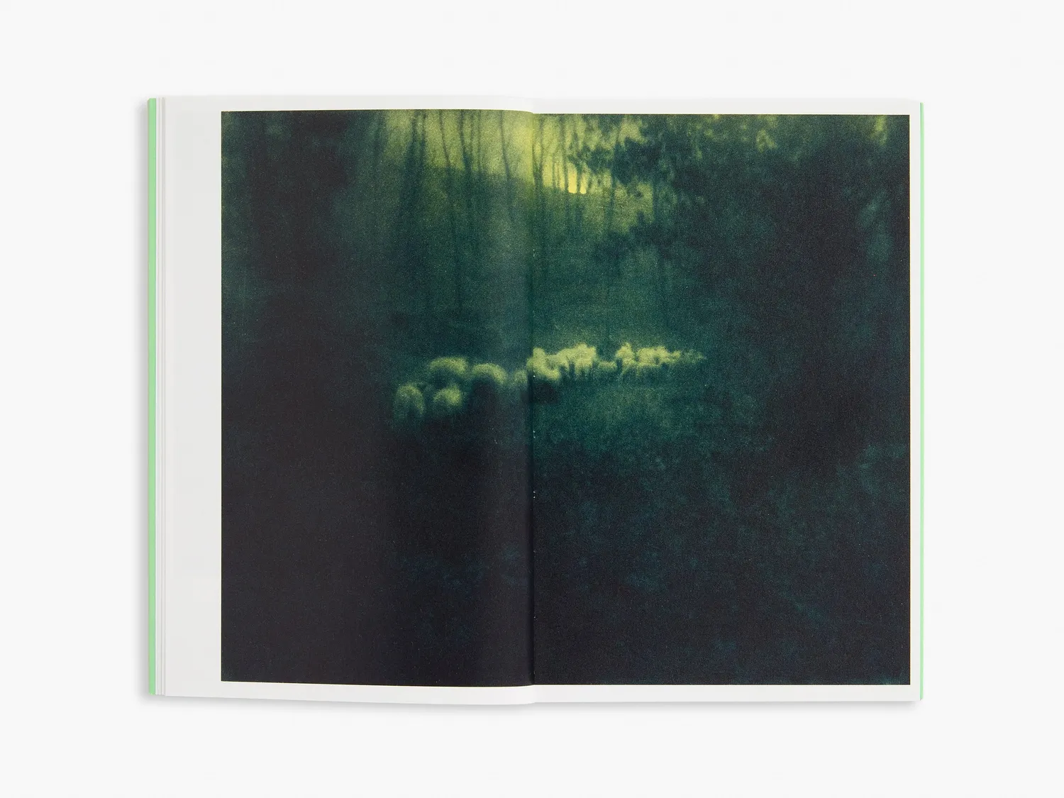 Thames & Hudson Photofile Edward Steichen bog illustreret