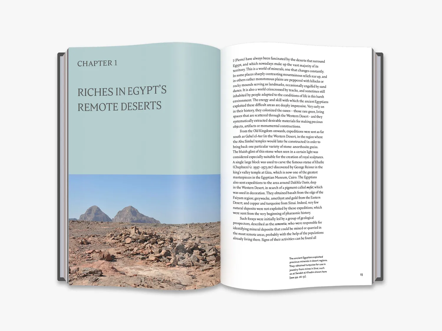 Thames & Hudson The Red Sea Scrolls bog illustreret