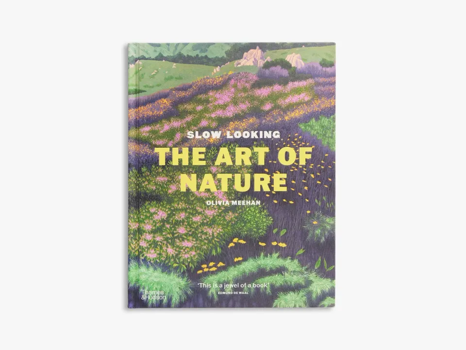 Thames & Hudson Slow Looking bog om kunst og natur