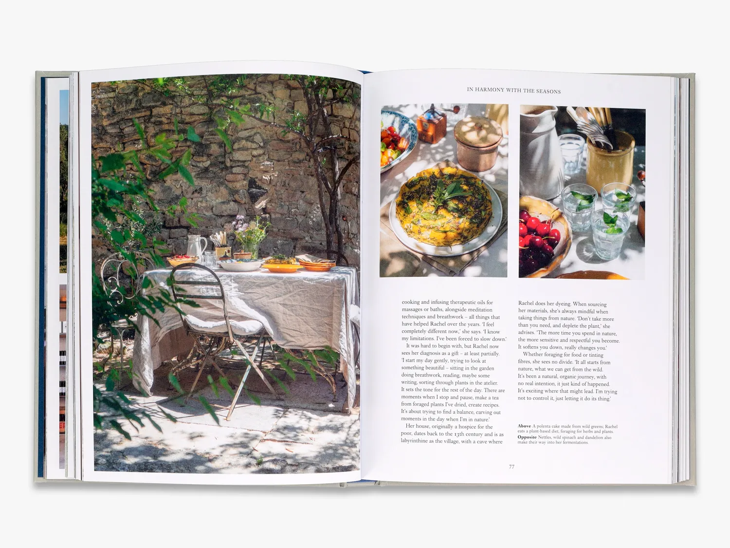 Thames & Hudson Living Wild boligbog off-grid illustreret
