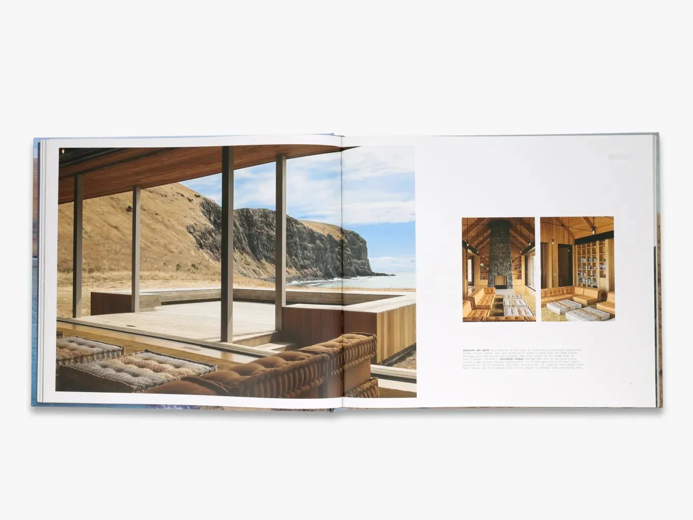 Thames & Hudson Patterson Houses of Aotearoa bog arkitektur