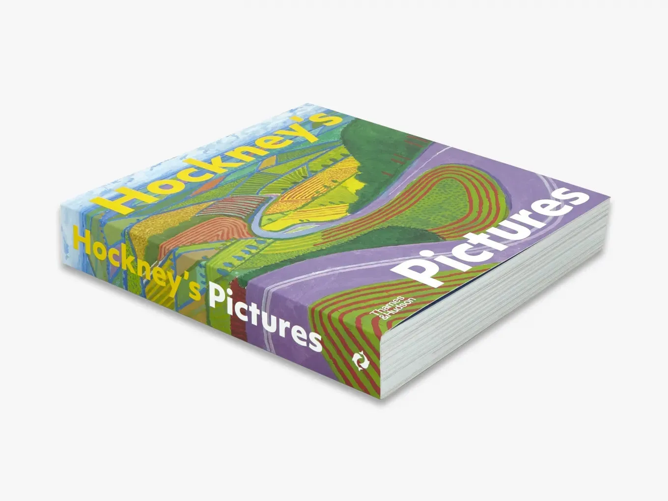 Thames & Hudson Hockney's Pictures kunstbog