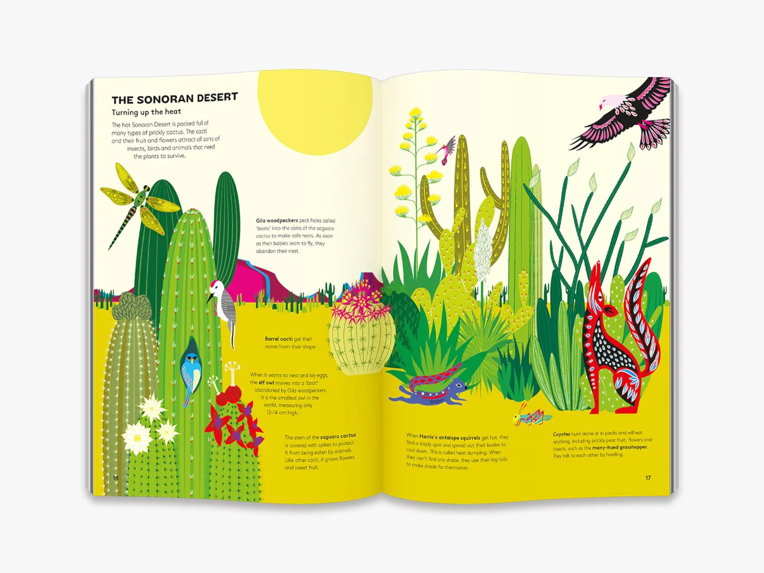 Thames & Hudson Hoot and Howl across the Desert børnebog