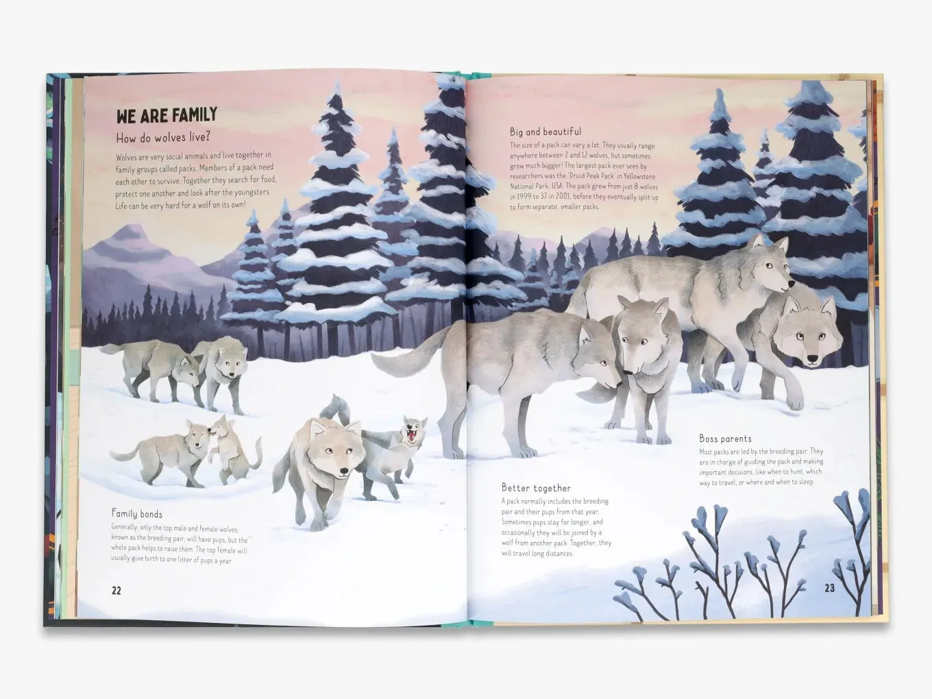 Thames & Hudson Go Wild Are Wolves Afraid of the Dark børnebog