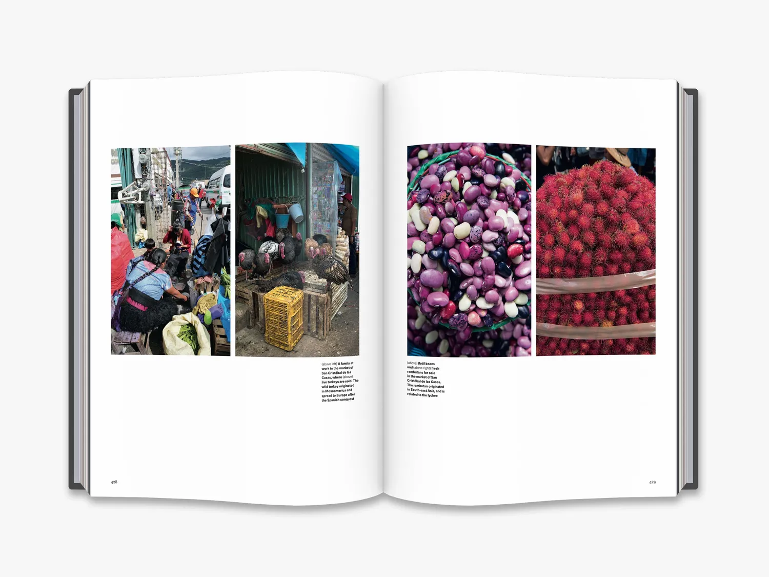 Thames & Hudson Mexico kogebog kulinarisk rejse
