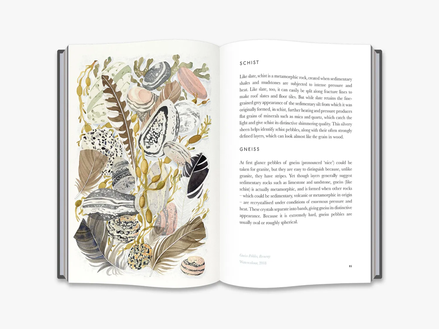 Thames & Hudson The Book of Pebbles naturbog