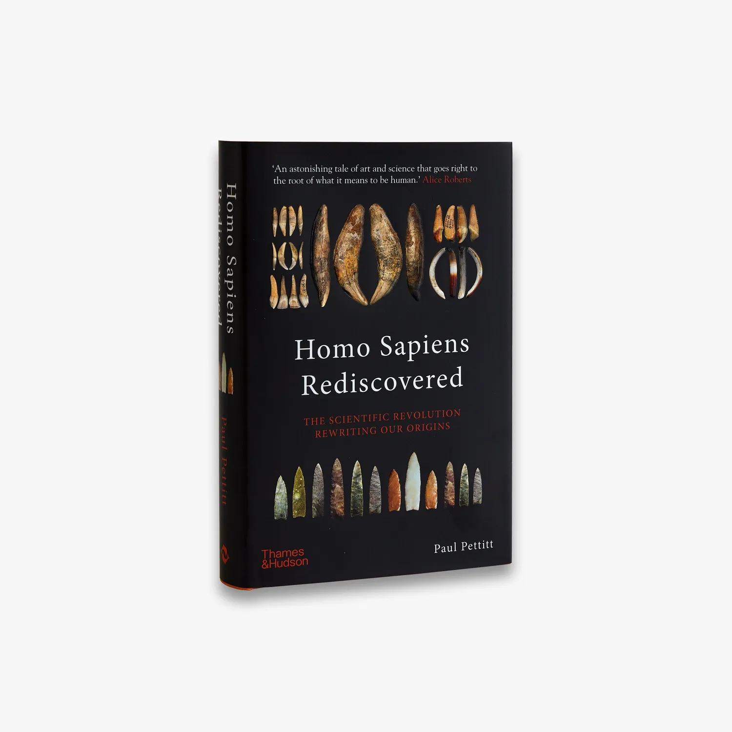 Thames & Hudson Homo Sapiens Rediscovered fagbog illustreret