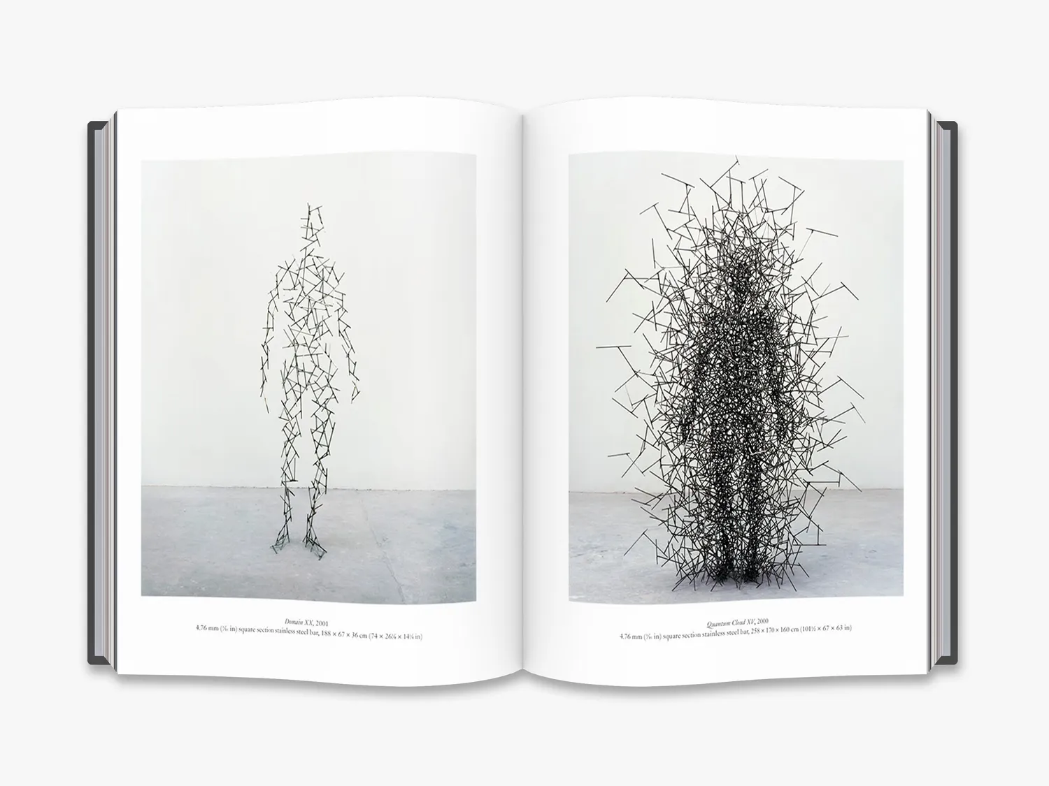 Thames & Hudson Antony Gormley on Sculpture bog indbundet skulptur