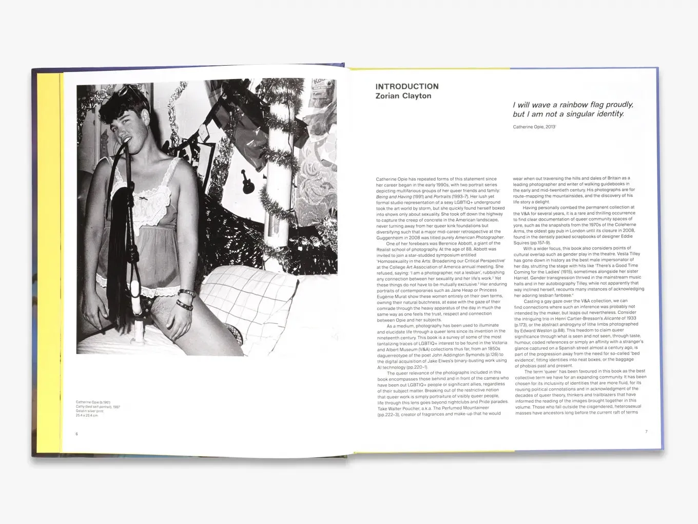 Thames & Hudson Calling the Shots fotobog V&A queerhistorie