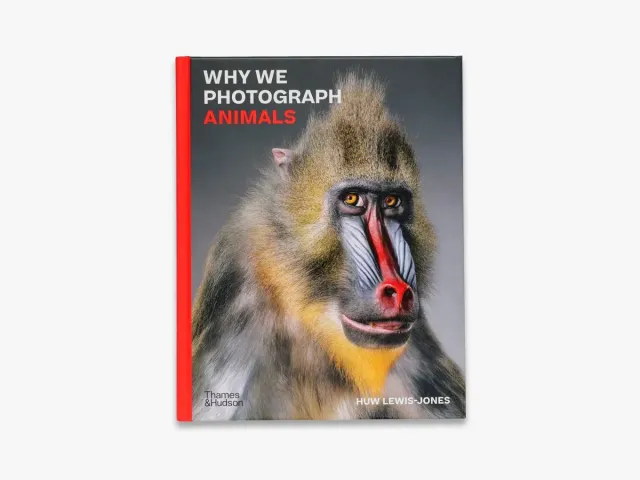 Thames & Hudson Why We Photograph Animals fotobog