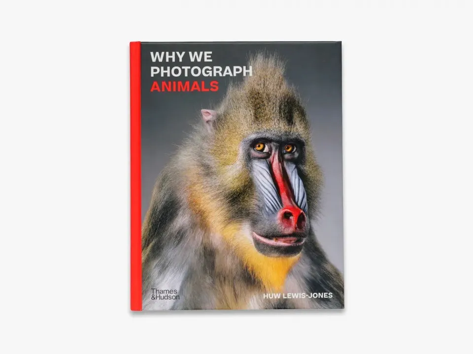 Thames & Hudson Why We Photograph Animals fotobog