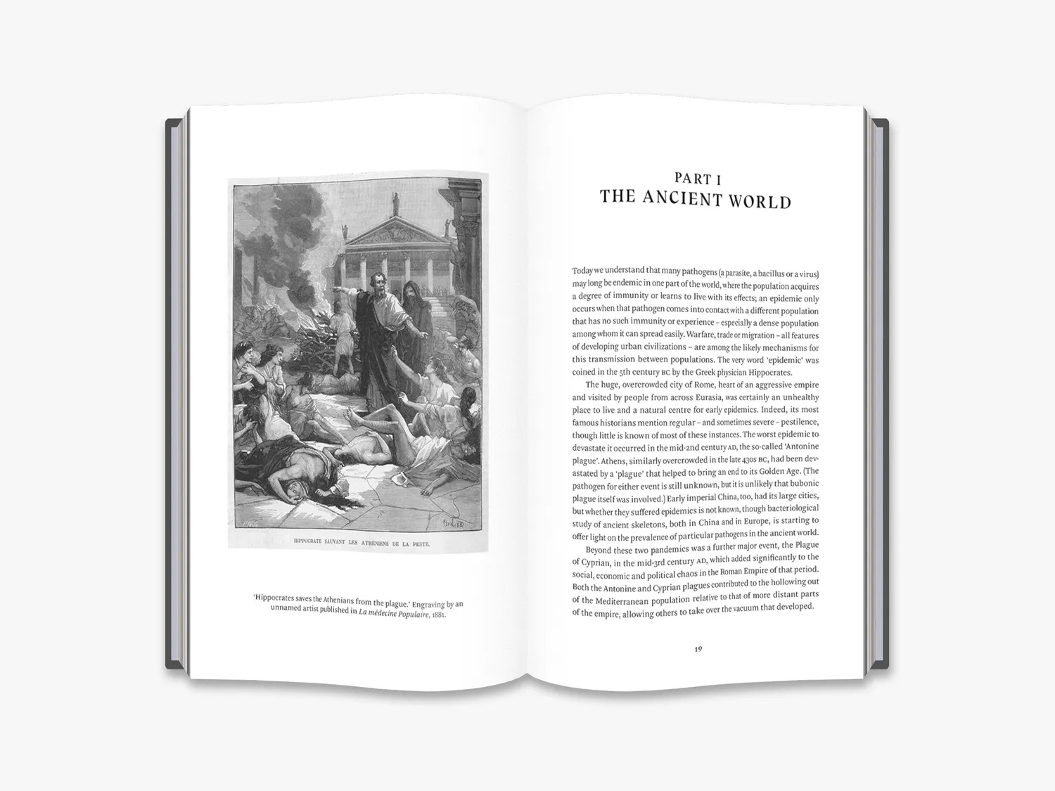 Thames & Hudson Plague Pestilence Pandemic bog Furtado