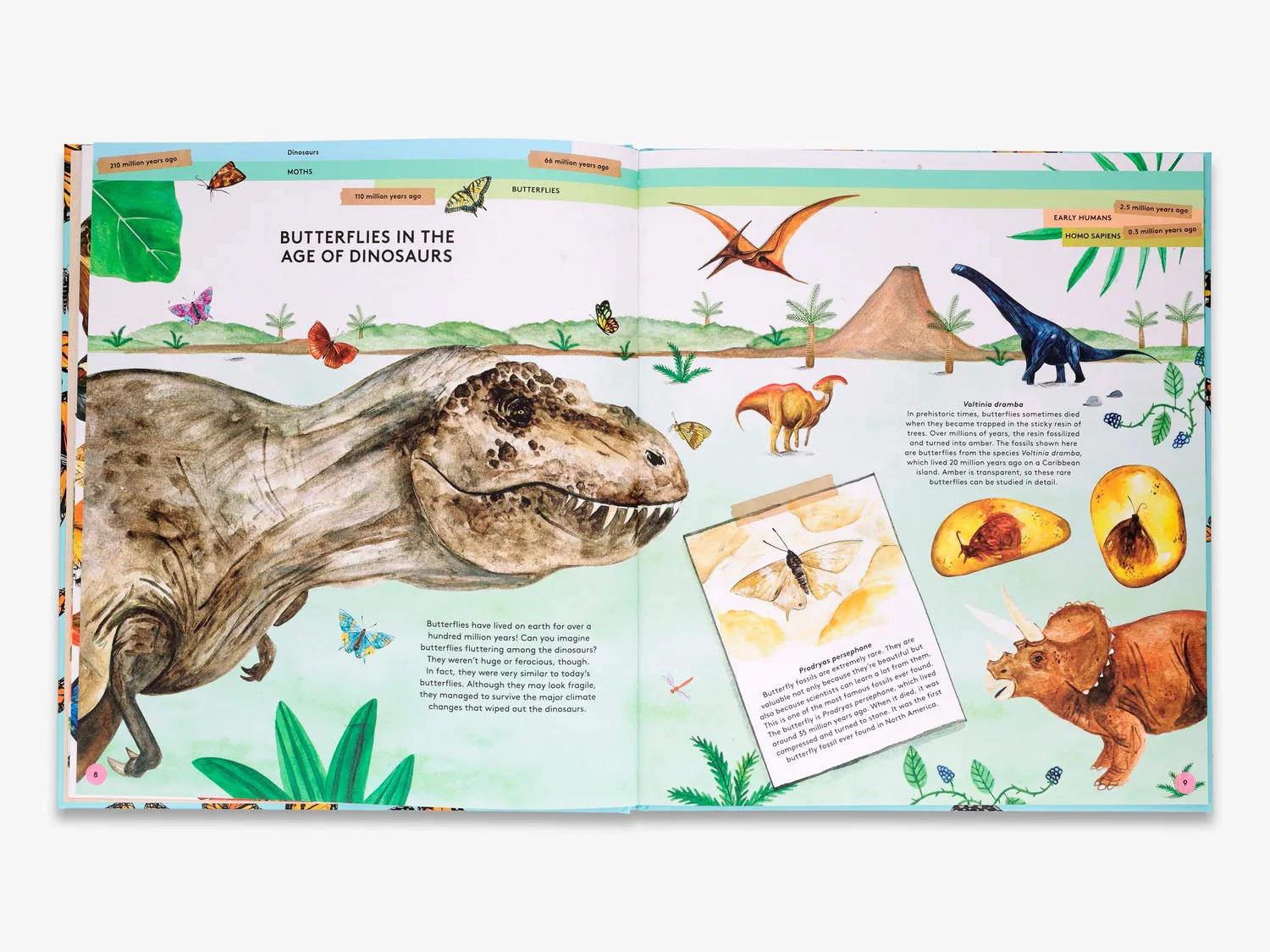 Thames & Hudson Secret Life of Butterflies bog sommerfugle