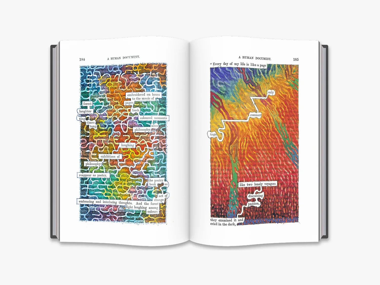 Thames & Hudson A Humument bog Tom Phillips kunstudgave
