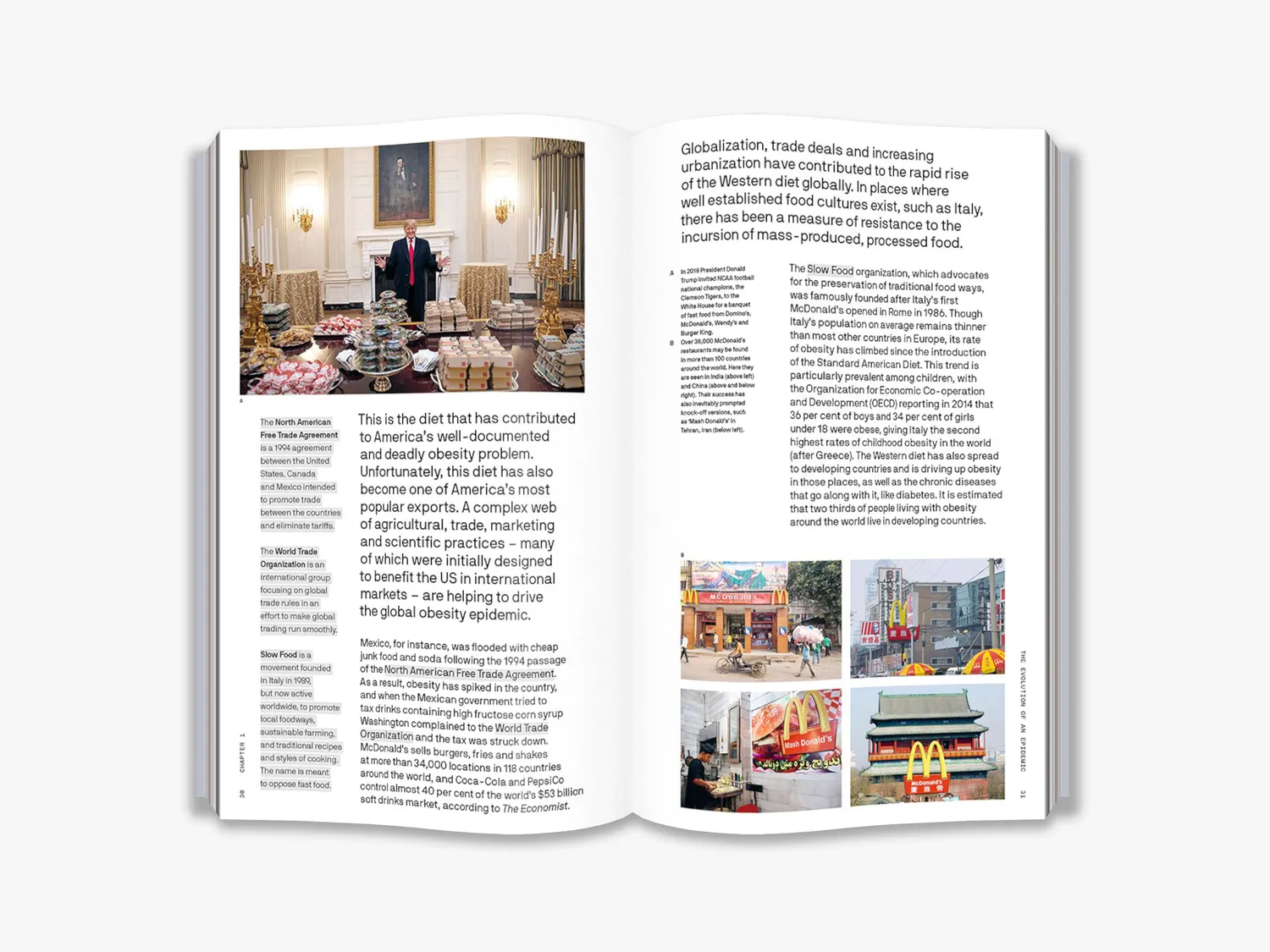 Thames & Hudson The Big Idea Is Our Food Killing Us? fagbog