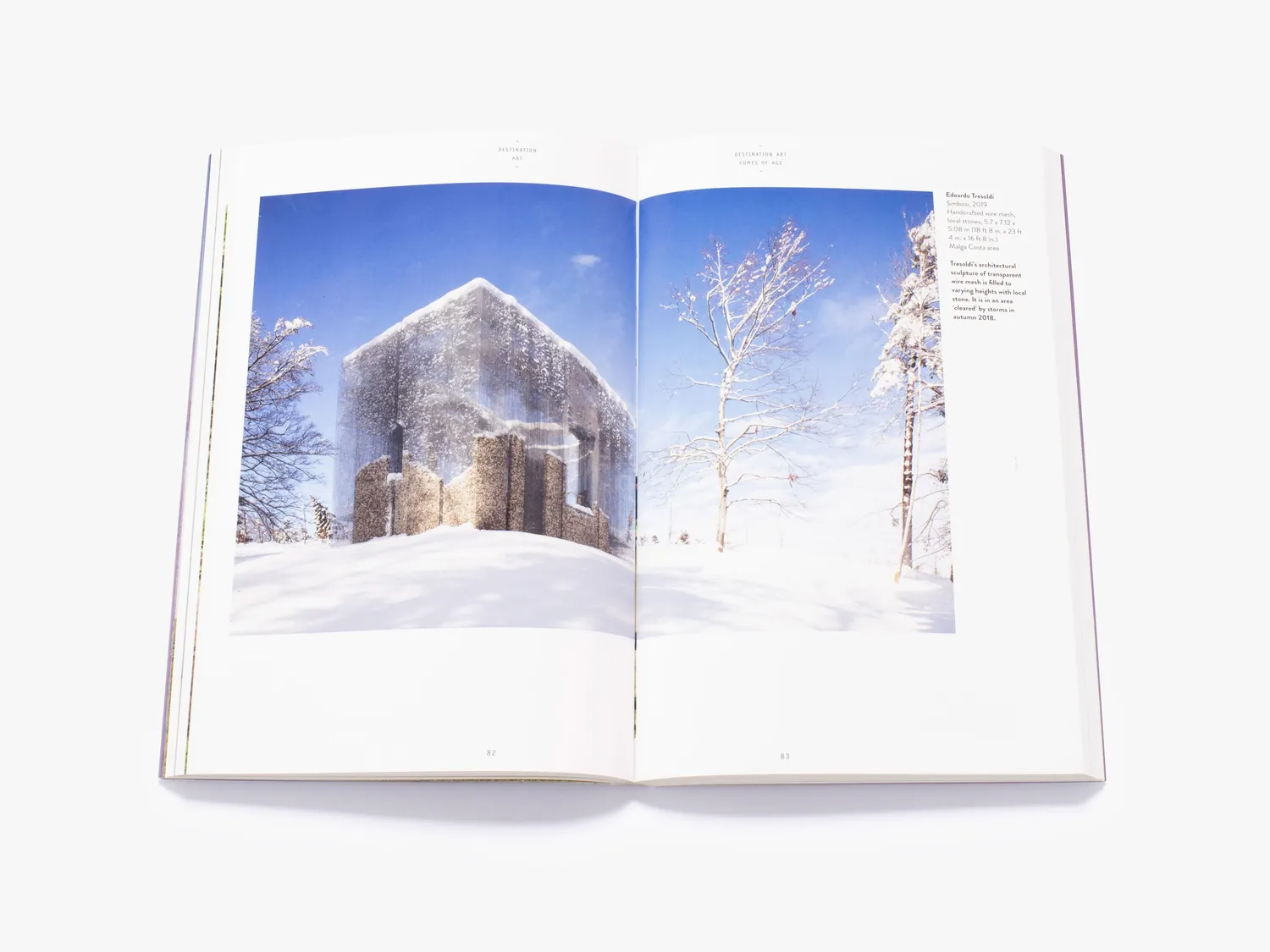Thames & Hudson Art Essentials Destination Art kunstbog illustreret