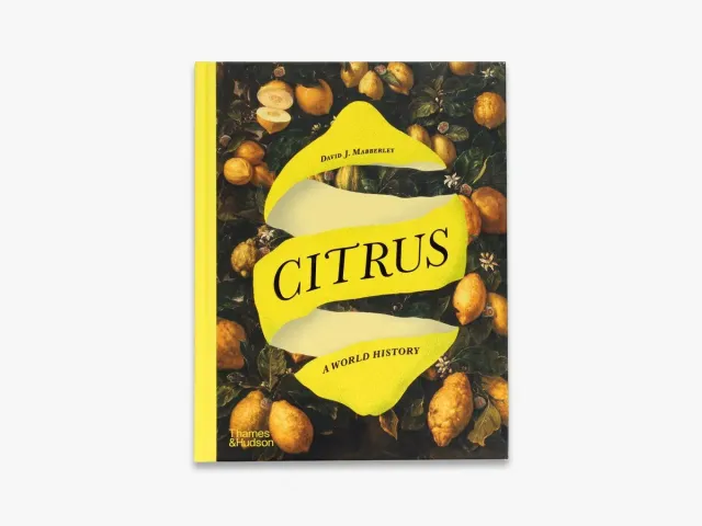 Thames & Hudson Citrus kulturhistorie om citrusfrugter illustreret