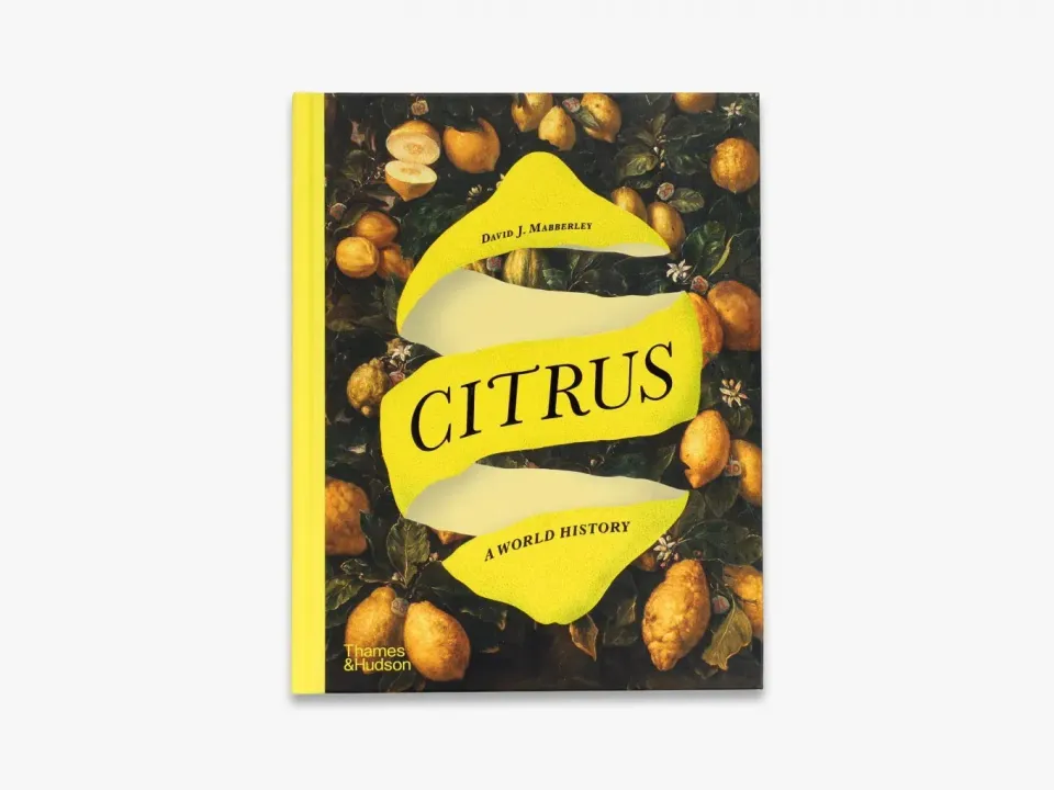Thames & Hudson Citrus kulturhistorie om citrusfrugter illustreret