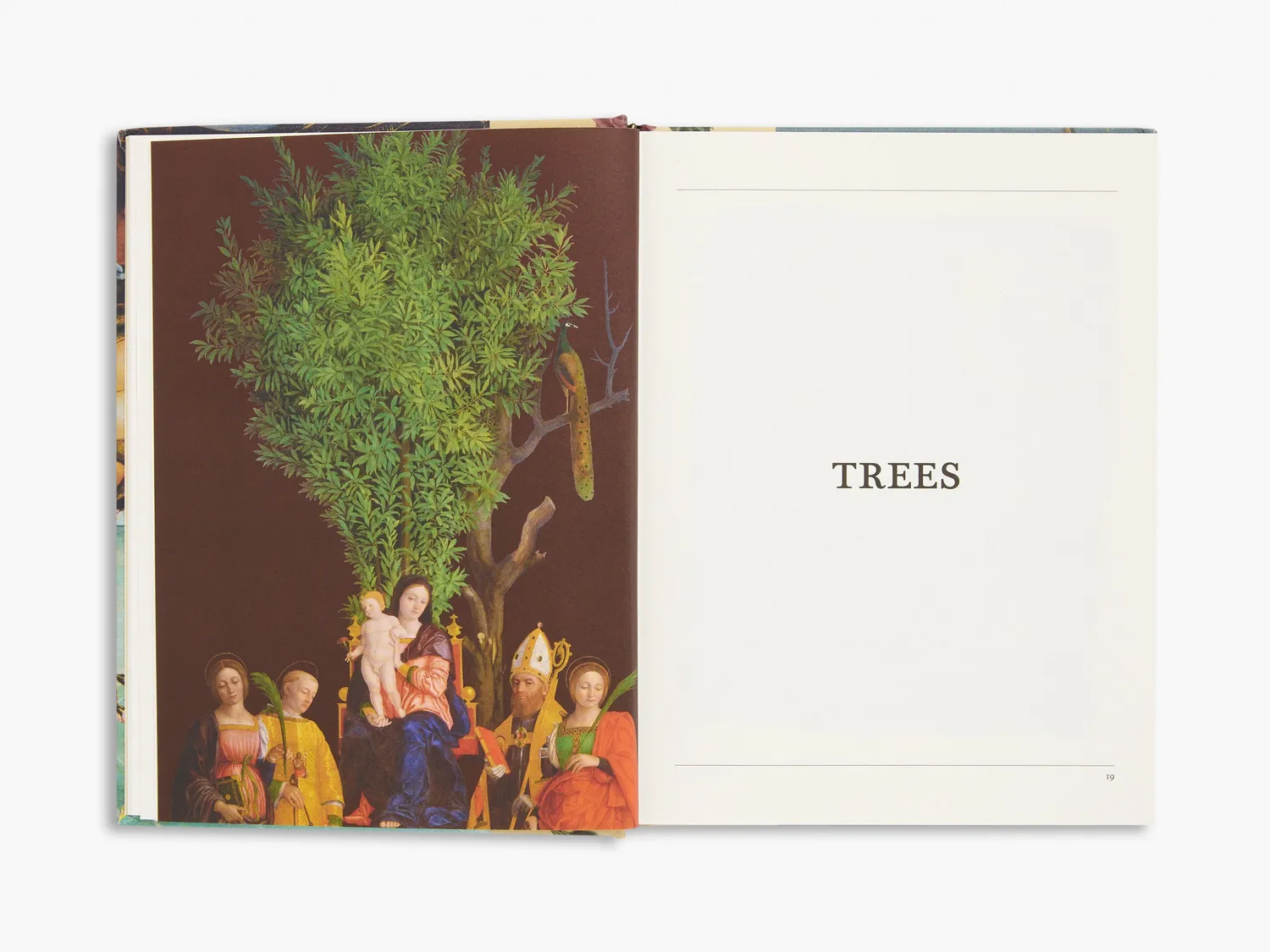 Thames & Hudson Secret Language Plants botanikbog illustreret