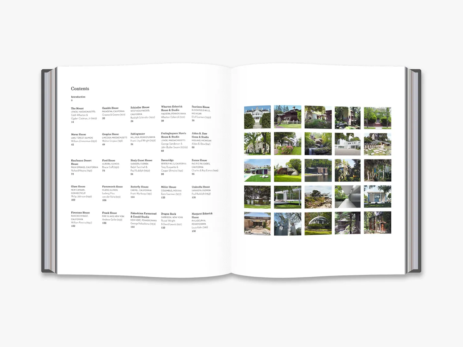 Thames & Hudson The Iconic American House arkitekturbog
