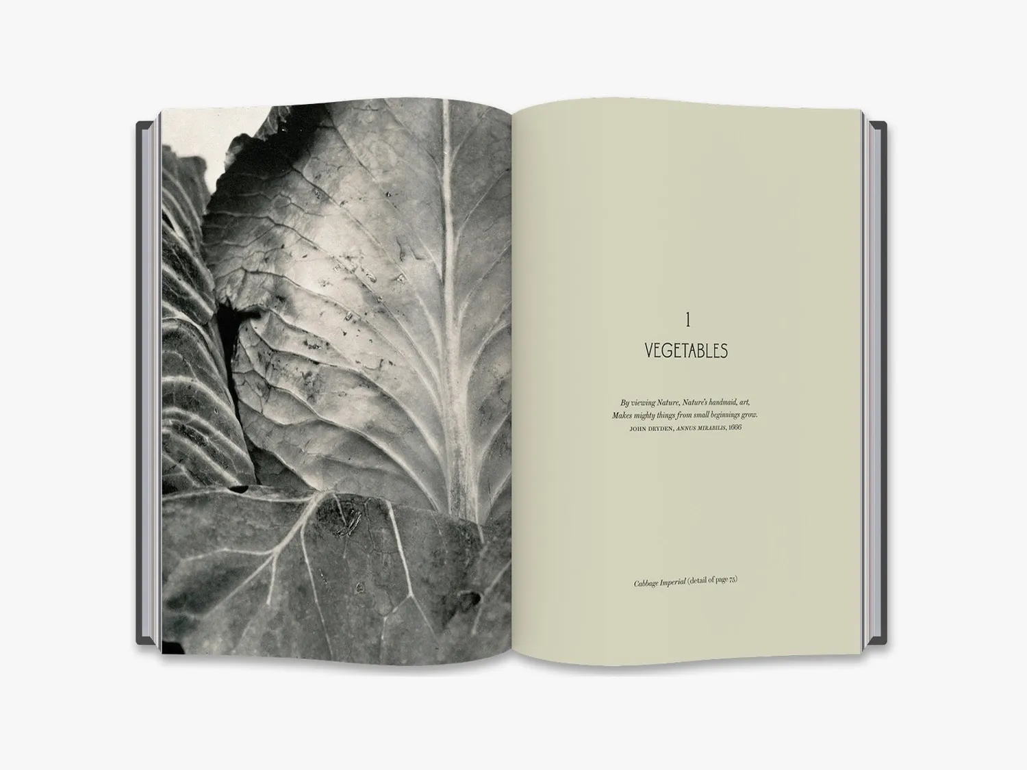 Thames & Hudson Charles Jones fotobog planter