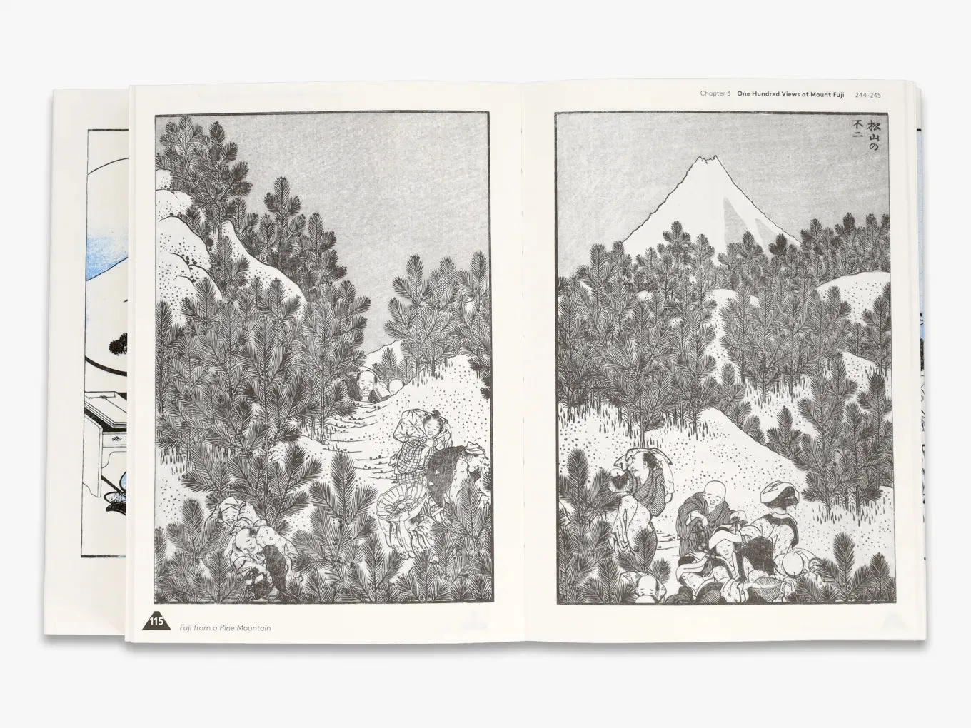 Thames & Hudson Hokusai's Fuji bog træsnit Mount Fuji