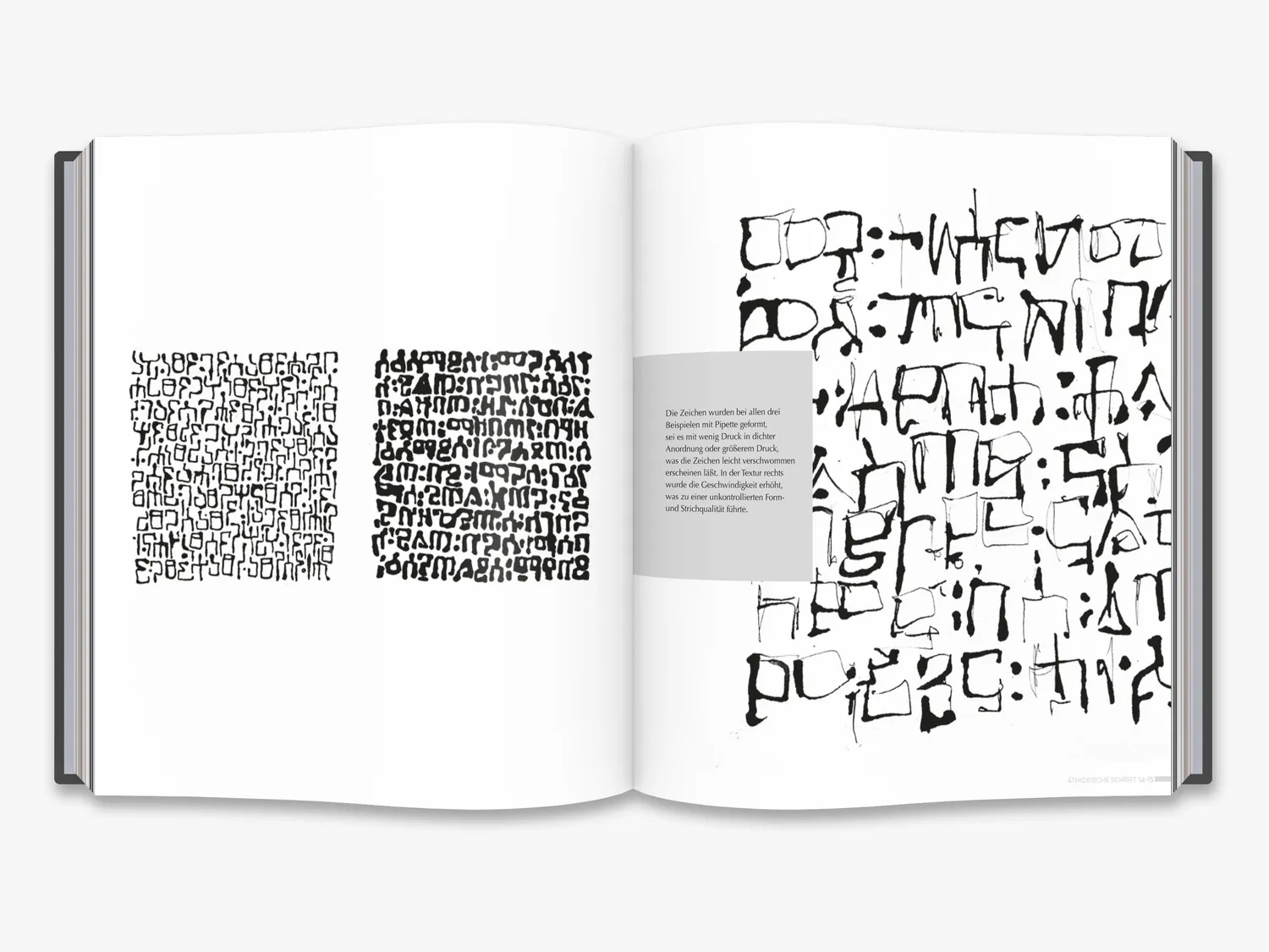 Thames & Hudson Journeys in Calligraphy bog – Denise Lach
