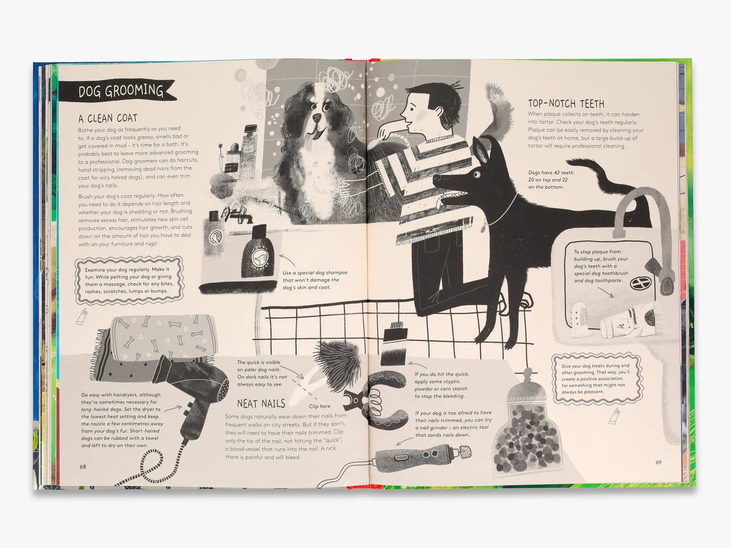 Thames & Hudson How to be Your Dog’s Best Friend bog