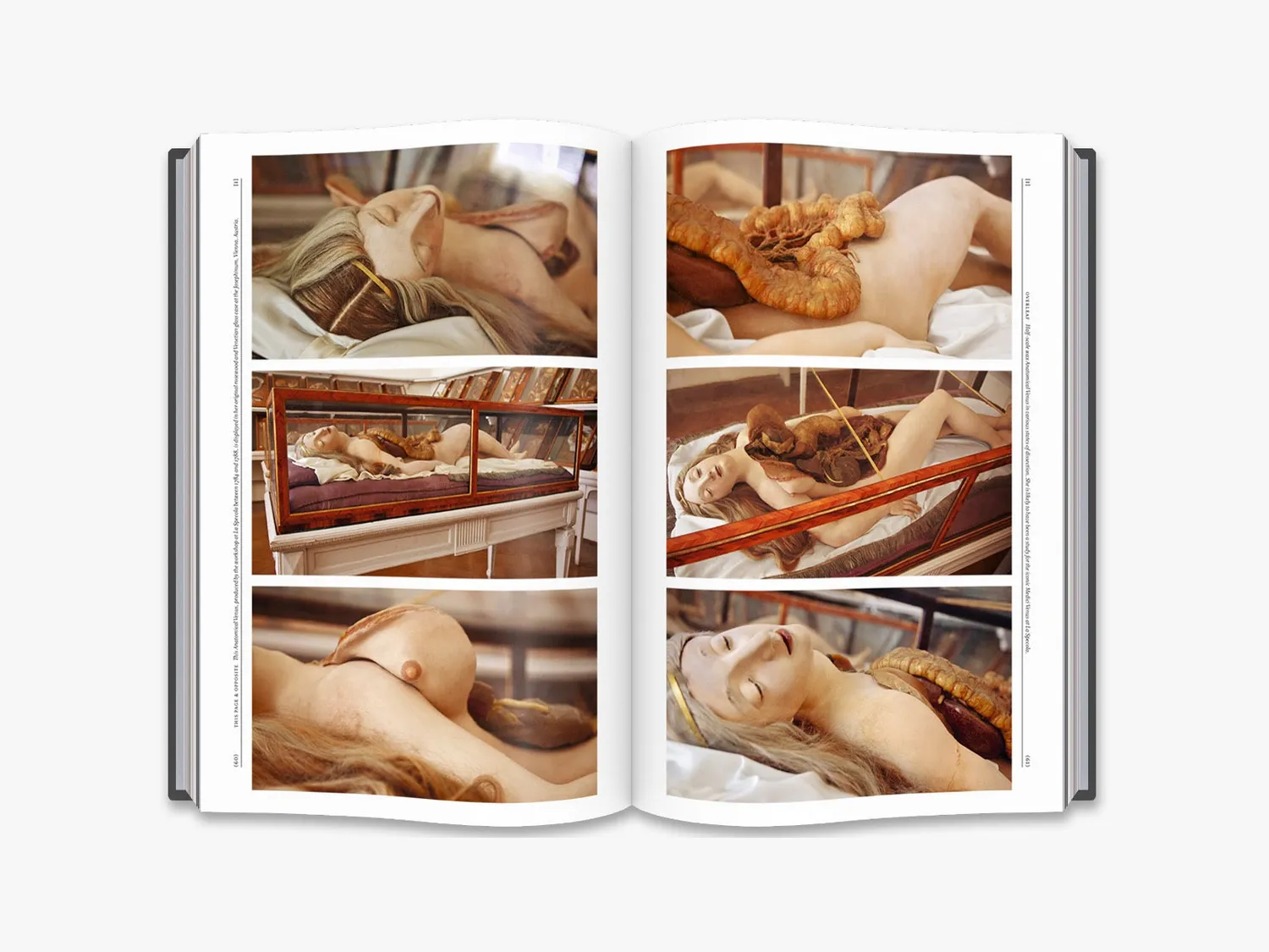 Thames & Hudson The Anatomical Venus bog voksanatomi