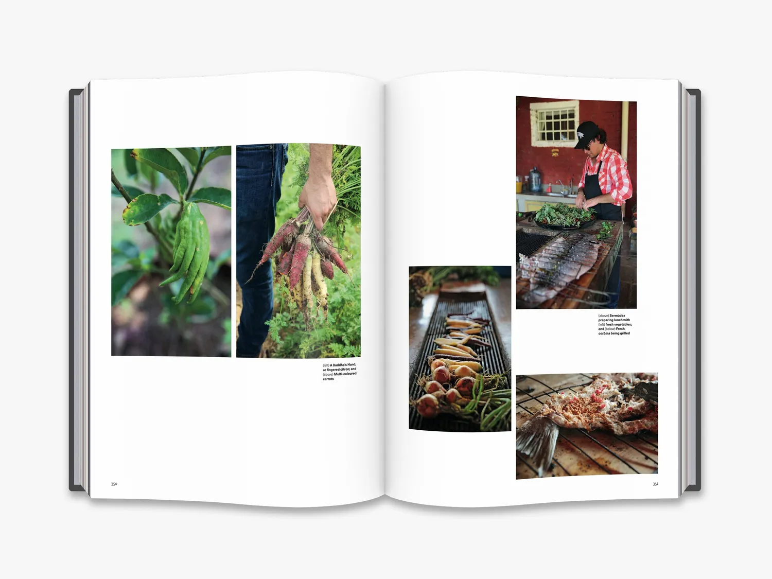 Thames & Hudson Mexico kogebog kulinarisk rejse