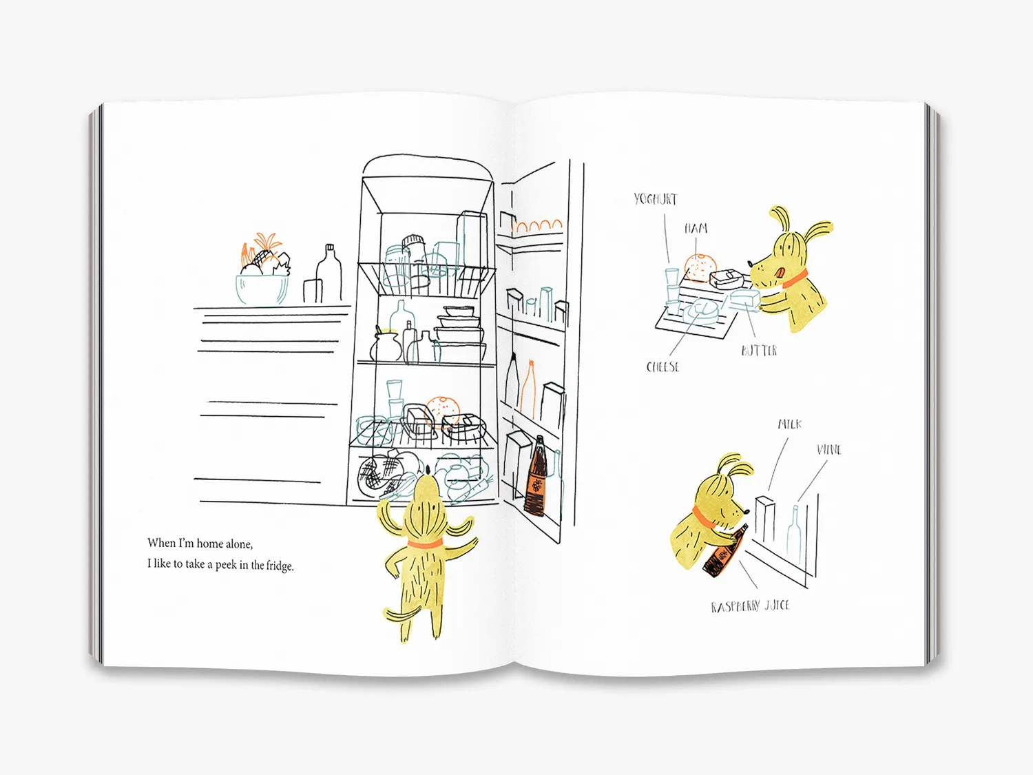 Thames & Hudson Home Alone billedbog børn