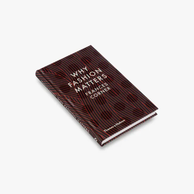 Thames & Hudson Why Fashion Matters modebog Frances Corner