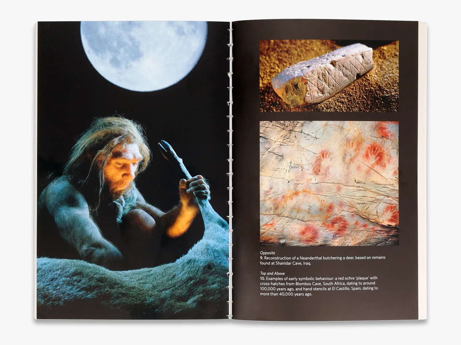 Thames & Hudson The Neanderthals Rediscovered bog neandertaler
