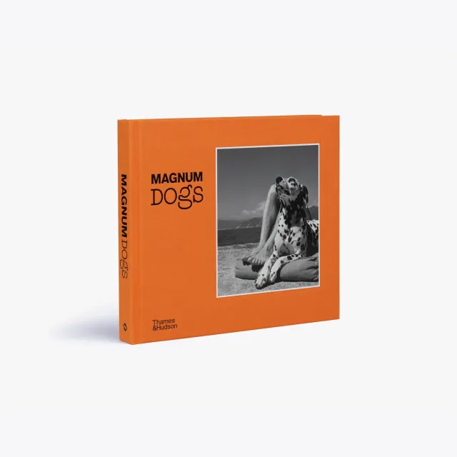 Thames & Hudson Magnum Dogs fotobog hundebilleder