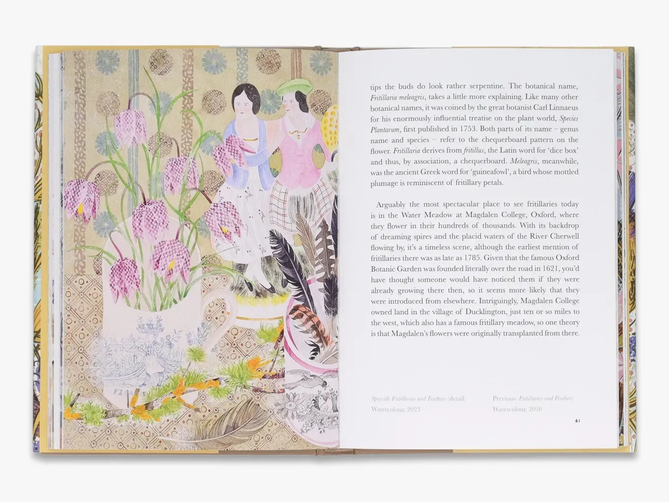 Thames & Hudson The Book of Wild Flowers bog om blomster