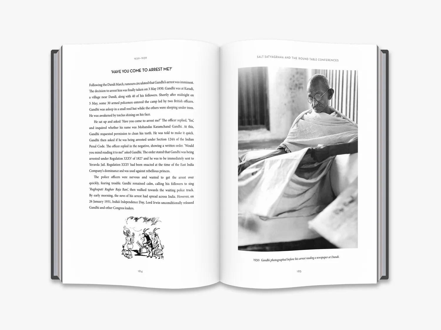 Thames & Hudson Gandhi bog illustreret biografi
