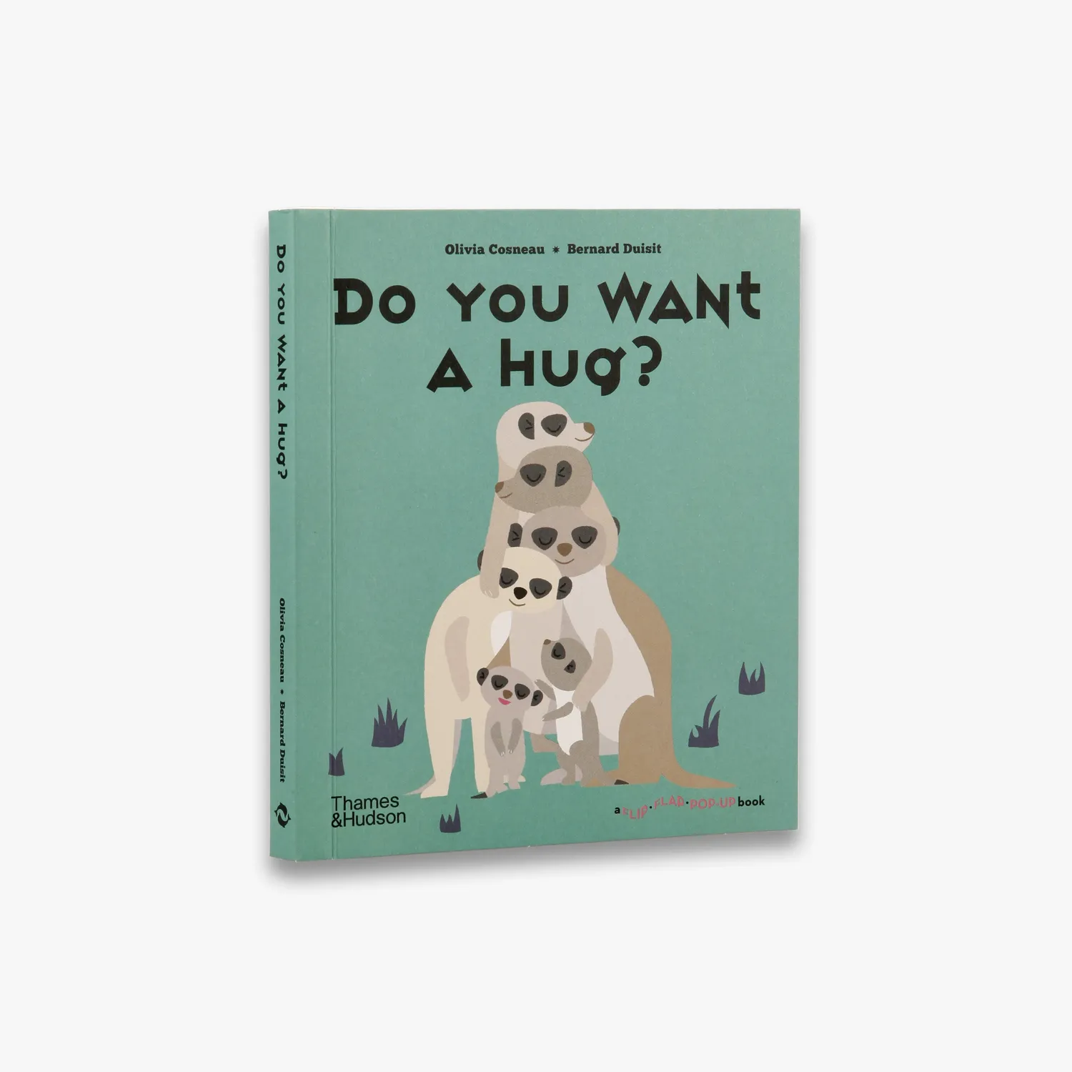 Thames & Hudson Do You Want a Hug pop op børnebog kram