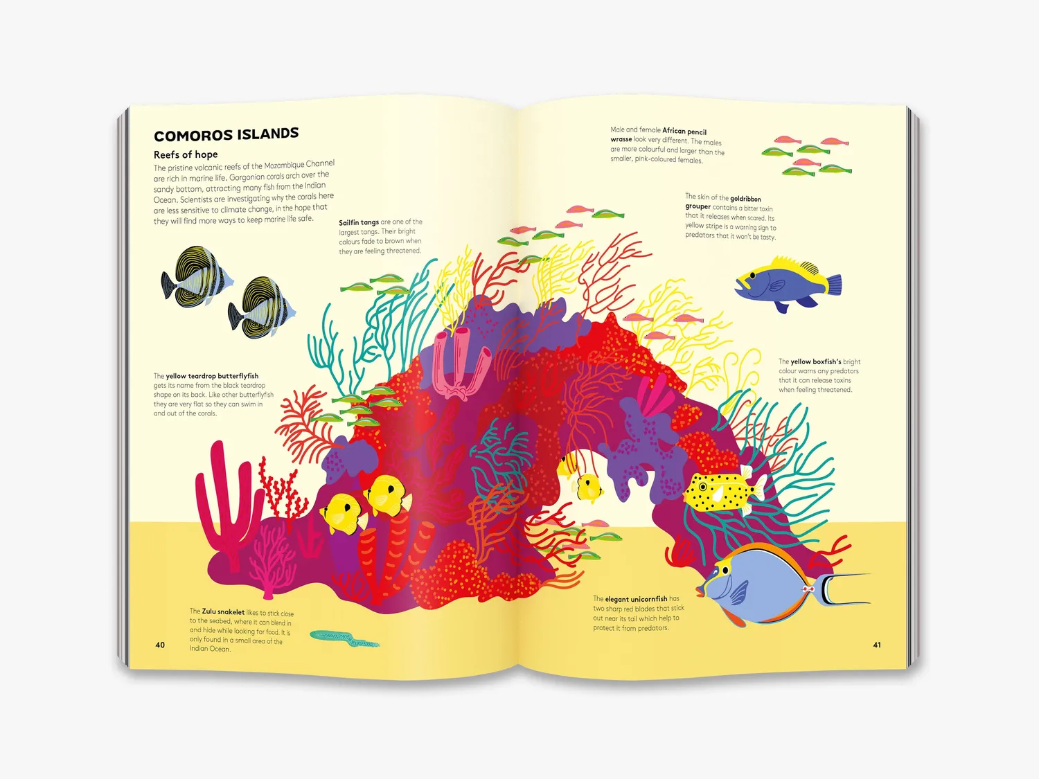 Thames & Hudson Dart and Dive across the Reef børnebog koraller
