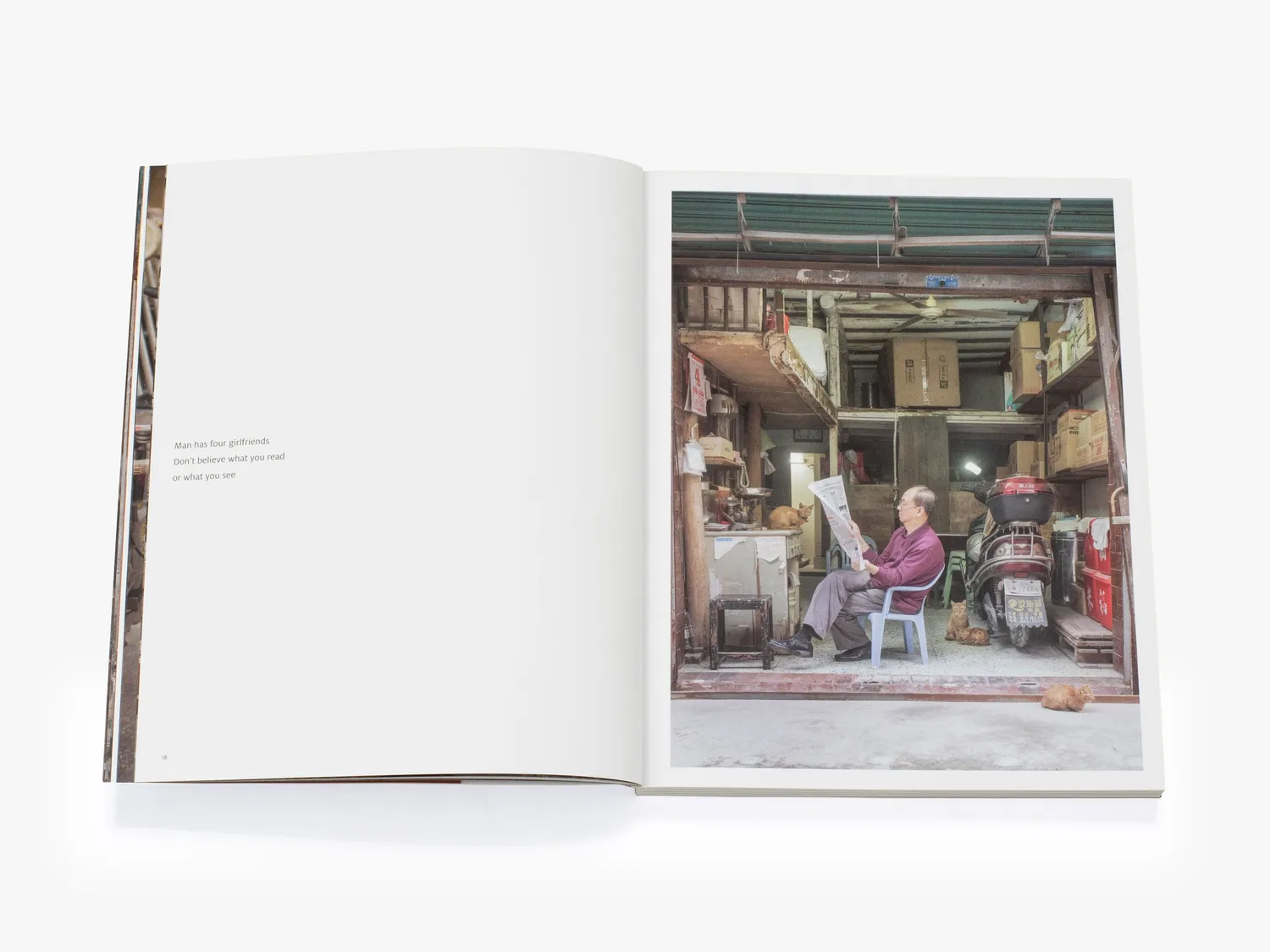 Thames & Hudson Shop Cats of China fotobog katte