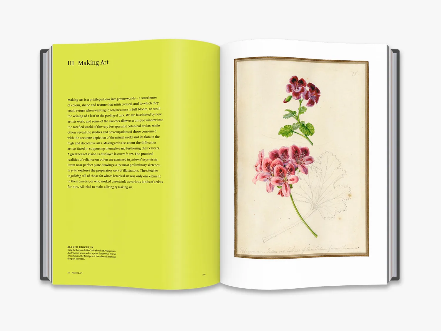 Thames & Hudson Botanical Sketchbooks bog botanisk kunst