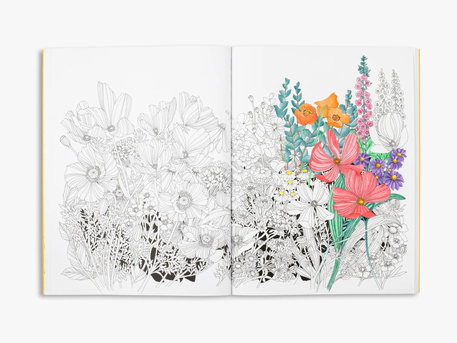 Thames & Hudson Beautiful Planet malebog af Leila Duly