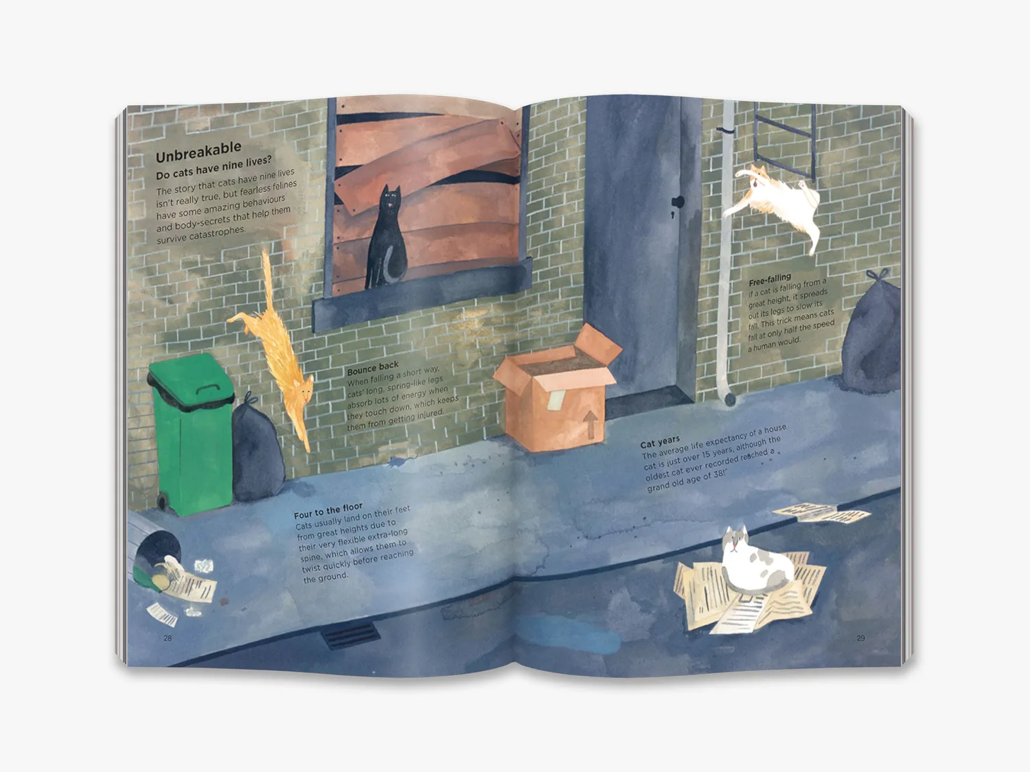 Thames & Hudson Favourite Pets Why do cats meow? børnebog om katte